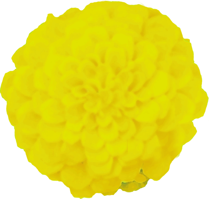 花